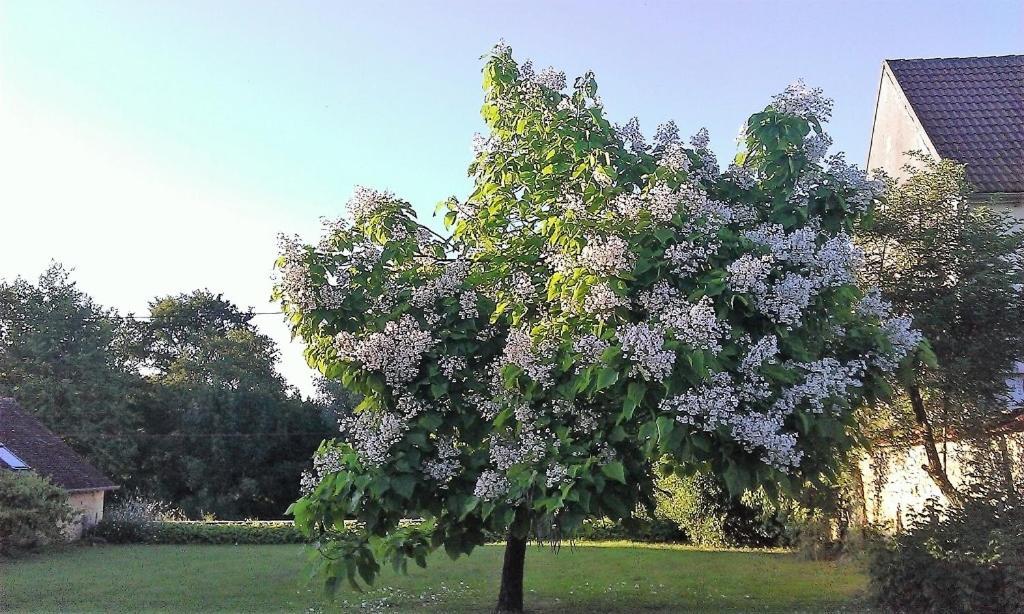 La Cuvellerie Ξενοδοχείο Narcy Εξωτερικό φωτογραφία